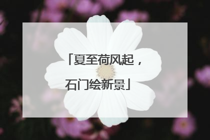 夏至荷风起，石门绘新景