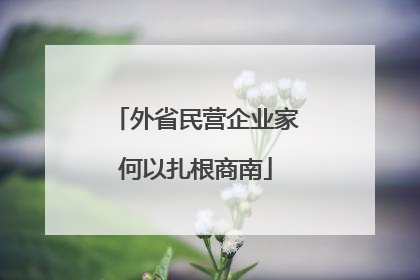 外省民营企业家何以扎根商南