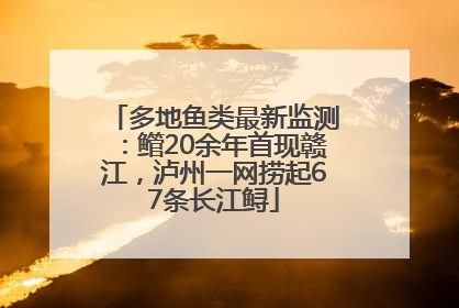 多地鱼类最新监测：鳤20余年首现赣江，泸州一网捞起67条长江鲟