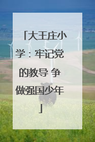 大王庄小学：牢记党的教导 争做强国少年