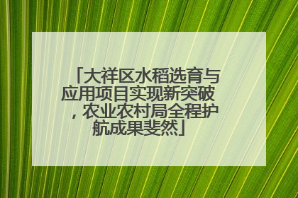 大祥区水稻选育与应用项目实现新突破，农业农村局全程护航成果斐然