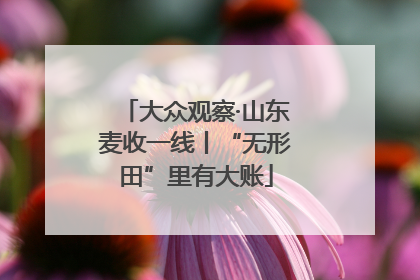 大众观察·山东麦收一线丨“无形田”里有大账
