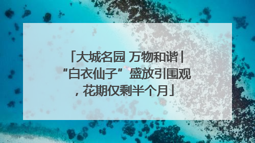 大城名园 万物和谐│“白衣仙子”盛放引围观，花期仅剩半个月