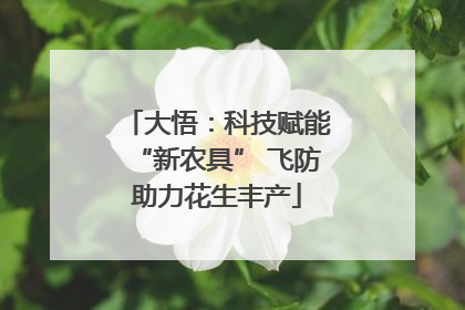 大悟：科技赋能“新农具” 飞防助力花生丰产