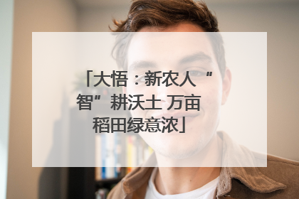 大悟：新农人“智”耕沃土 万亩稻田绿意浓