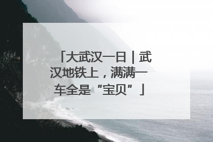大武汉一日｜武汉地铁上，满满一车全是“宝贝”