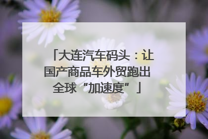 大连汽车码头：让国产商品车外贸跑出全球“加速度”