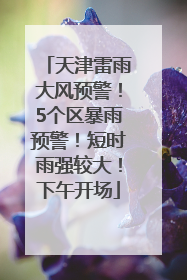 天津雷雨大风预警！5个区暴雨预警！短时雨强较大！下午开场