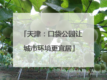 天津：口袋公园让城市环境更宜居