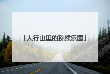 太行山里的猕猴乐园