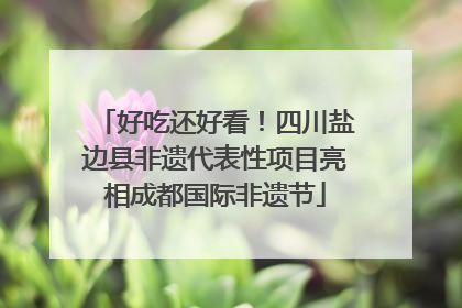 好吃还好看！四川盐边县非遗代表性项目亮相成都国际非遗节