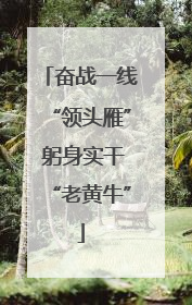 奋战一线“领头雁” 躬身实干“老黄牛”