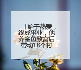 始于热爱，终成事业，他养金鱼致富后带动18个村共富