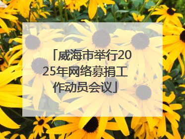 威海市举行2025年网络募捐工作动员会议
