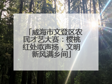 威海市文登区农民才艺大赛：樱桃红处歌声扬，文明新风满乡间