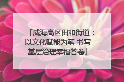 威海高区田和街道：以文化赋能为笔 书写基层治理幸福答卷