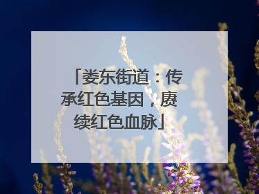 娄东街道：传承红色基因，赓续红色血脉