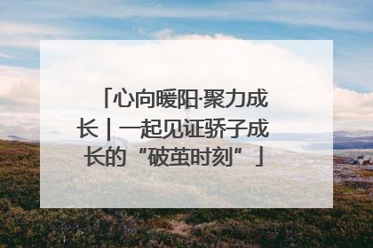 心向暖阳·聚力成长｜一起见证骄子成长的“破茧时刻”