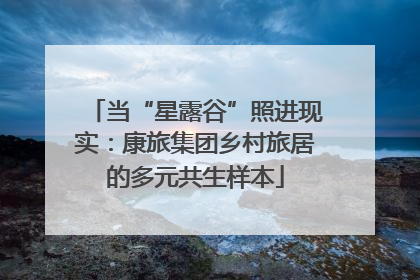 当“星露谷”照进现实：康旅集团乡村旅居的多元共生样本