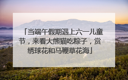 当端午假期遇上六一儿童节，来看大熊猫吃粽子，赏绣球花和马鞭草花海