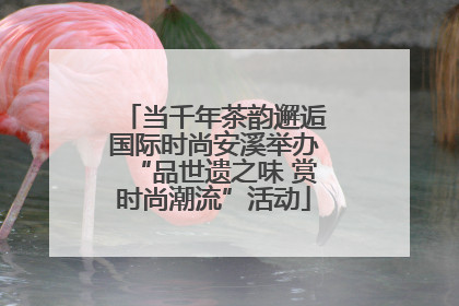 当千年茶韵邂逅国际时尚安溪举办“品世遗之味 赏时尚潮流”活动