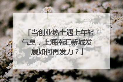 当创业热土遇上年轻气息，上海南汇新城发展如何再发力？