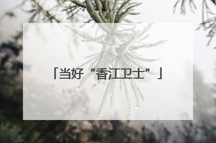 当好“香江卫士”