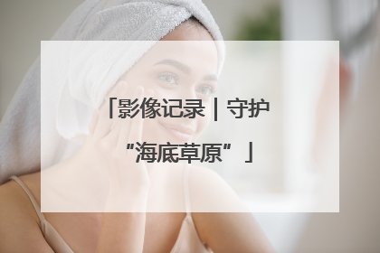 影像记录｜守护“海底草原”