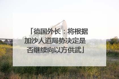 德国外长：将根据加沙人道局势决定是否继续向以方供武