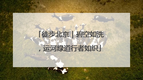 徒步北京｜碧空如洗，运河绿道行者如织