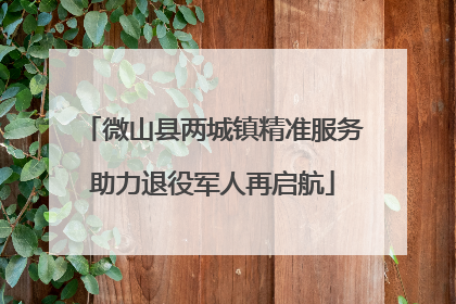 微山县两城镇精准服务助力退役军人再启航