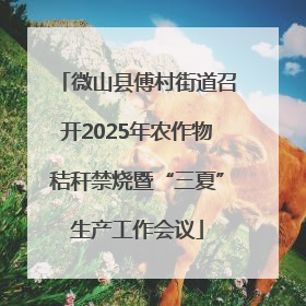 微山县傅村街道召开2025年农作物秸秆禁烧暨“三夏”生产工作会议