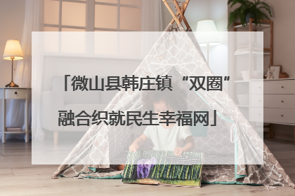 微山县韩庄镇“双圈”融合织就民生幸福网