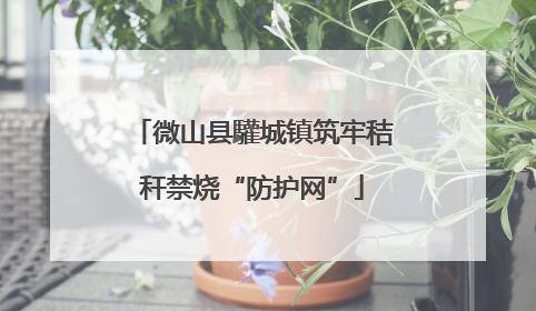 微山县驩城镇筑牢秸秆禁烧“防护网”