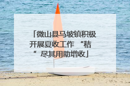 微山县马坡镇积极开展夏收工作 “秸”尽其用助增收