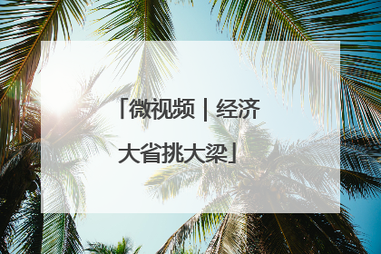 微视频｜经济大省挑大梁