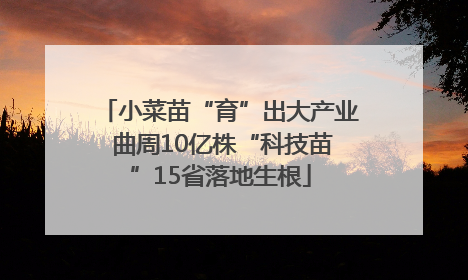 小菜苗“育”出大产业 曲周10亿株“科技苗”15省落地生根