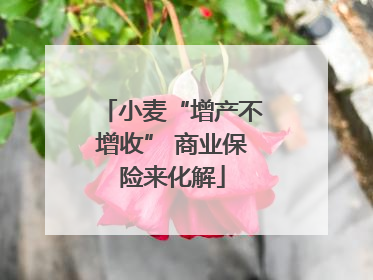 小麦“增产不增收” 商业保险来化解