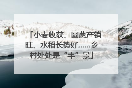 小麦收获、圆葱产销旺、水稻长势好……乡村处处是“丰”景