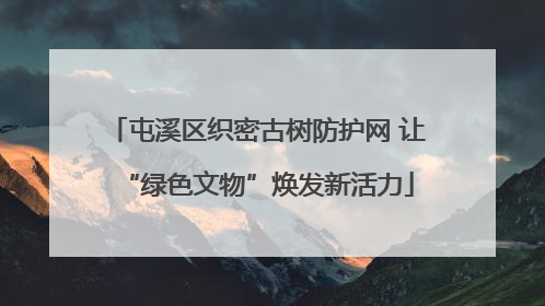 屯溪区织密古树防护网 让“绿色文物”焕发新活力
