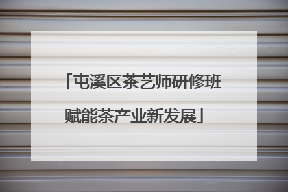 屯溪区茶艺师研修班赋能茶产业新发展