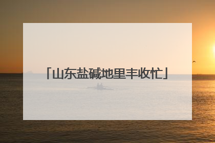 山东盐碱地里丰收忙