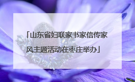 山东省妇联家书家信传家风主题活动在枣庄举办