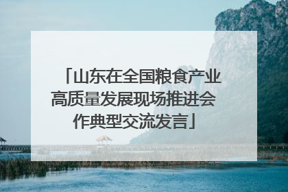 山东在全国粮食产业高质量发展现场推进会作典型交流发言