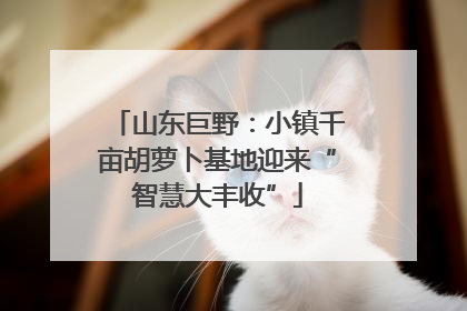 山东巨野：小镇千亩胡萝卜基地迎来“智慧大丰收”