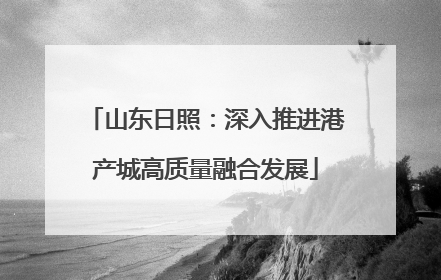 山东日照：深入推进港产城高质量融合发展