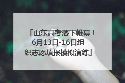 山东高考落下帷幕！6月13日-16日组织志愿填报模拟演练