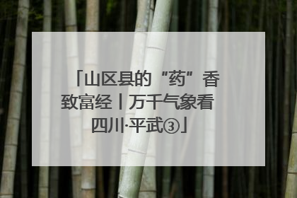 山区县的“药”香致富经丨万千气象看四川·平武③