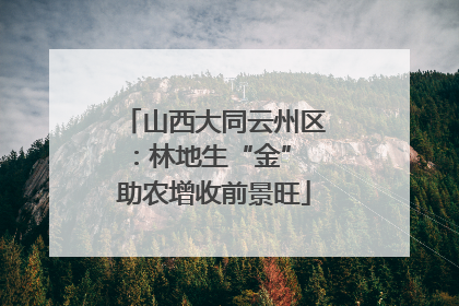 山西大同云州区：林地生“金” 助农增收前景旺