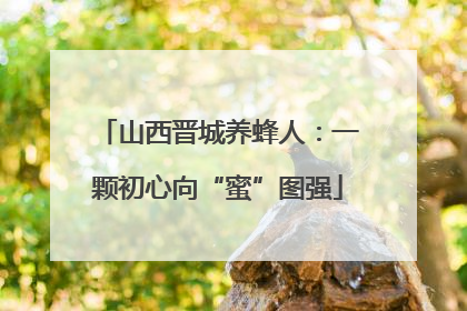 山西晋城养蜂人：一颗初心向“蜜”图强